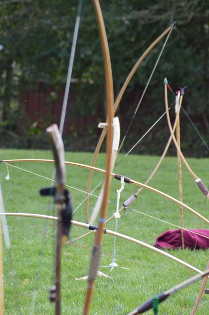 Several traditional wooden bows resting upright on grass